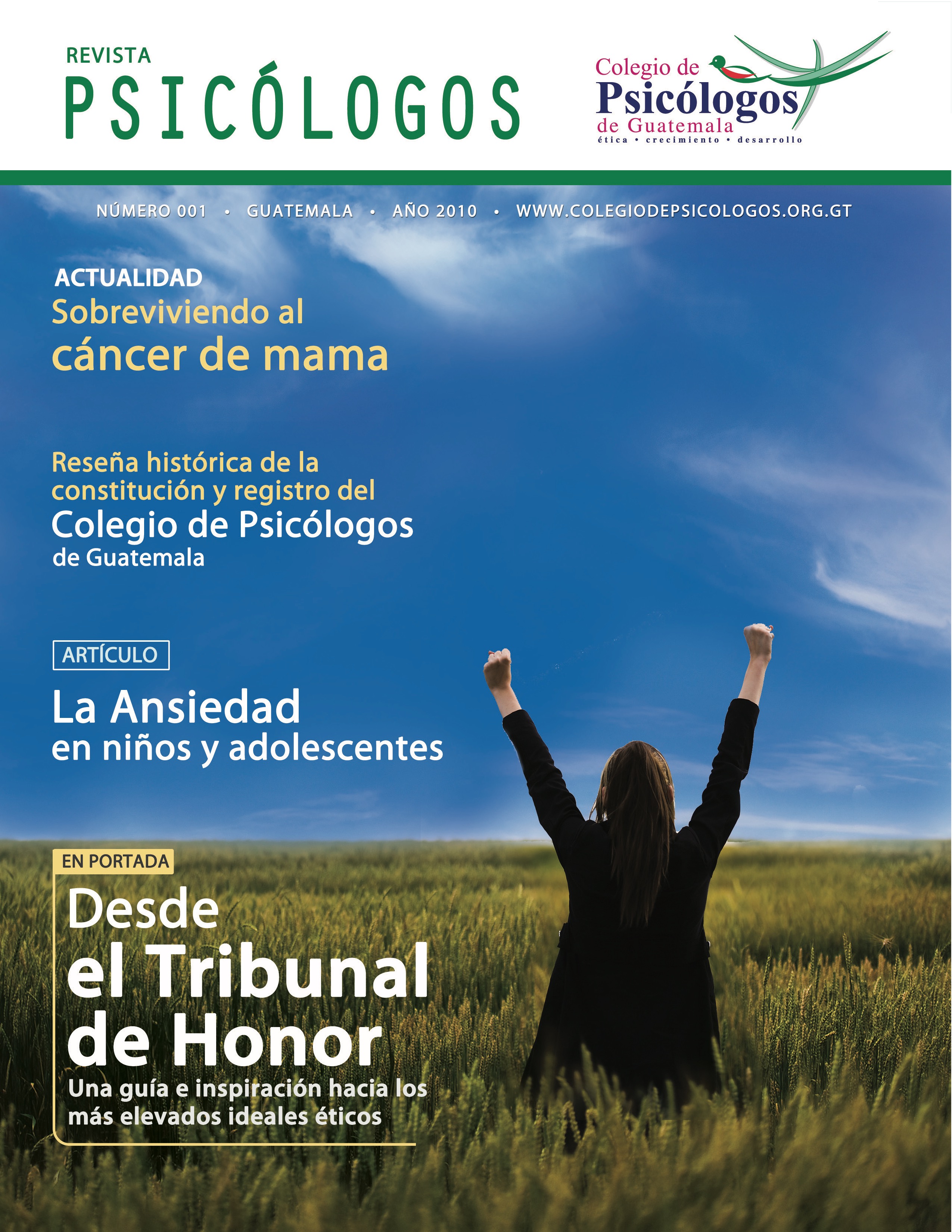 					Ver Vol. 1 Núm. 1 (2010): Revista Psicólogos No. 1
				